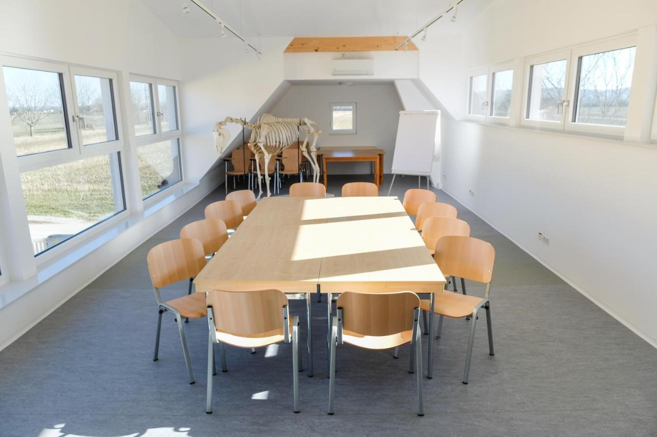 Equiliber Reitkunstzentrum Burgenland Wulkaprodersdorf